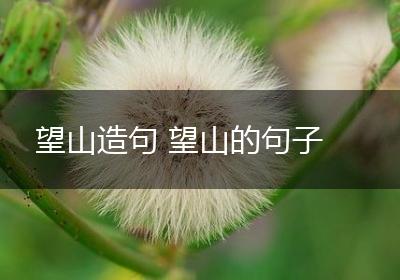 望山造句 望山的句子