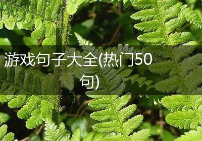 游戏句子大全(热门50句)