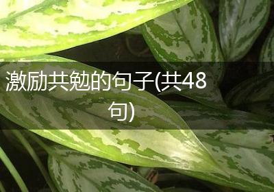 激励共勉的句子(共48句)