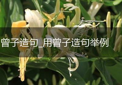 曾子造句_用曾子造句举例