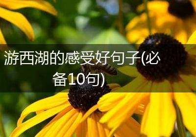 游西湖的感受好句子(必备10句)
