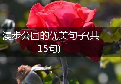 漫步公园的优美句子(共15句)