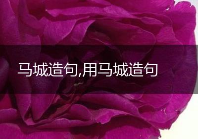 马城造句,用马城造句
