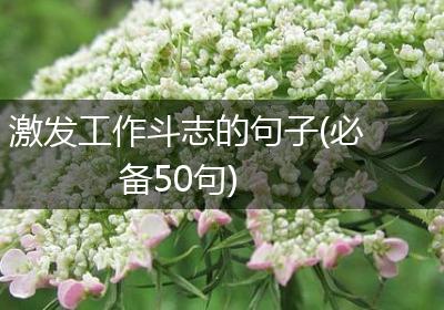 激发工作斗志的句子(必备50句)