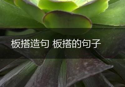 板搭造句 板搭的句子