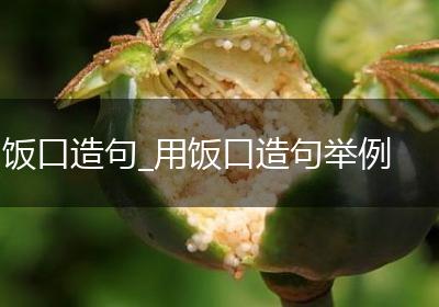 饭口造句_用饭口造句举例