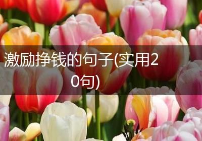 激励挣钱的句子(实用20句)