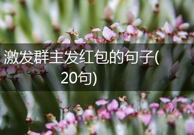激发群主发红包的句子(20句)