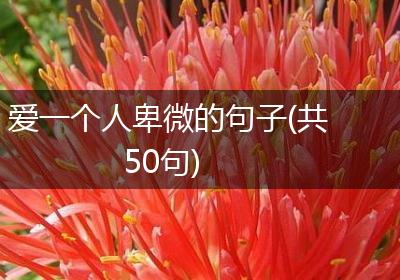 爱一个人卑微的句子(共50句)