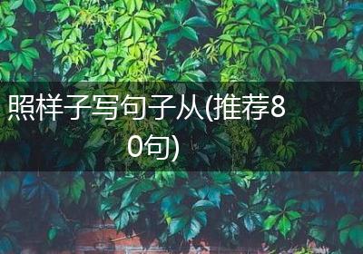 照样子写句子从(推荐80句)