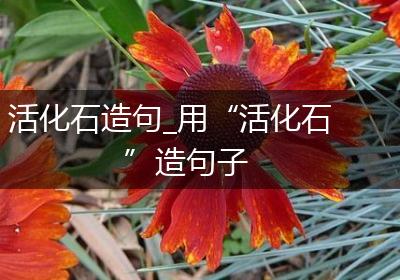 活化石造句_用“活化石”造句子