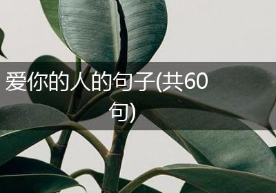 爱你的人的句子(共60句)