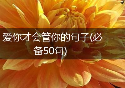 爱你才会管你的句子(必备50句)