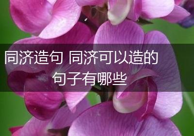 同济造句 同济可以造的句子有哪些