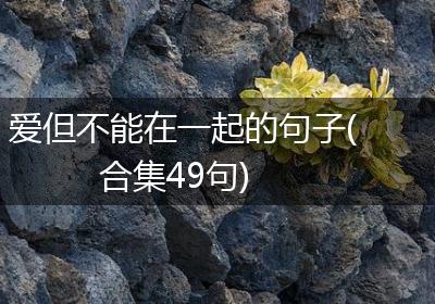 爱但不能在一起的句子(合集49句)