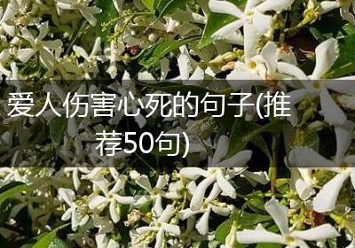 爱人伤害心死的句子(推荐50句)