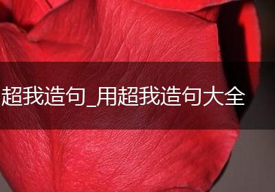 超我造句_用超我造句大全