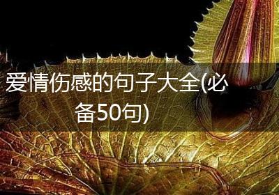 爱情伤感的句子大全(必备50句)