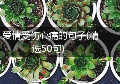 爱情受伤心痛的句子(精选50句)