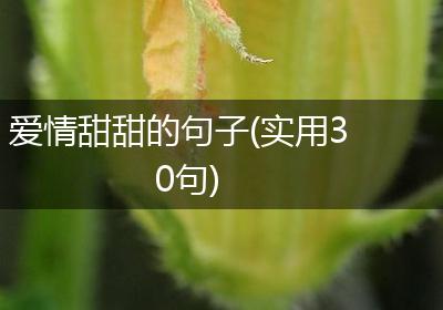 爱情甜甜的句子(实用30句)