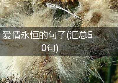 爱情永恒的句子(汇总50句)
