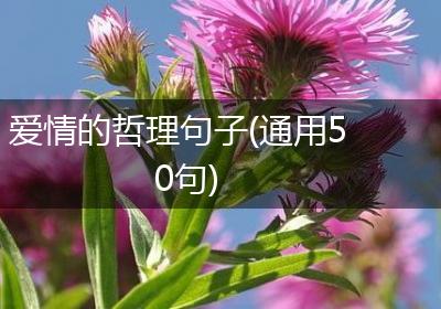 爱情的哲理句子(通用50句)