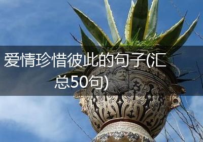 爱情珍惜彼此的句子(汇总50句)