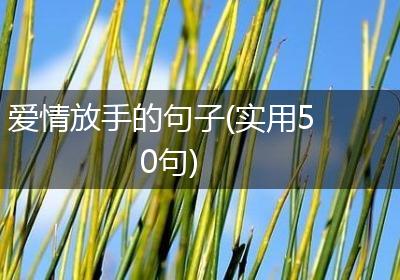爱情放手的句子(实用50句)