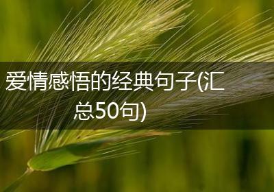 爱情感悟的经典句子(汇总50句)