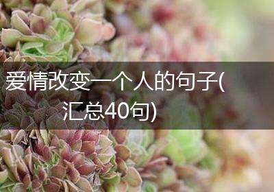 爱情改变一个人的句子(汇总40句)