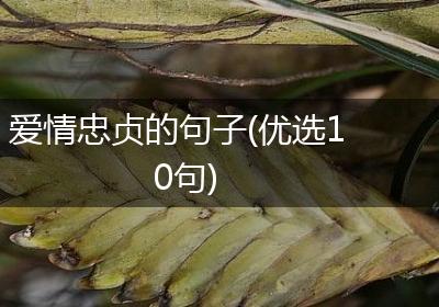 爱情忠贞的句子(优选10句)