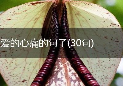 爱的心痛的句子(30句)