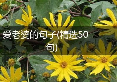 爱老婆的句子(精选50句)