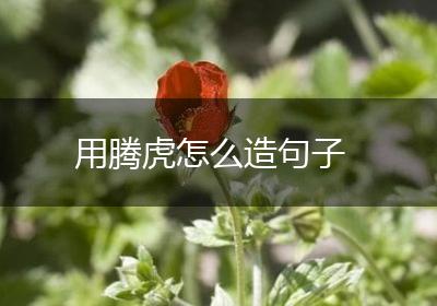 用腾虎怎么造句子