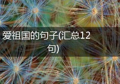 爱祖国的句子(汇总12句)