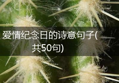 爱情纪念日的诗意句子(共50句)