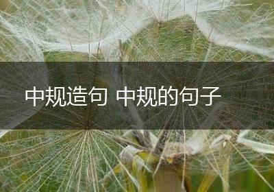 中规造句 中规的句子