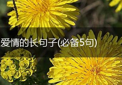 爱情的长句子(必备5句)