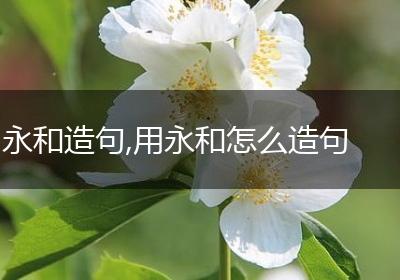 永和造句,用永和怎么造句