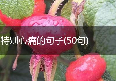 特别心痛的句子(50句)