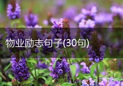 物业励志句子(30句)