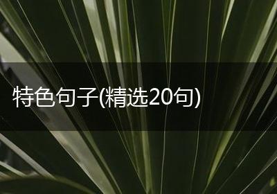特色句子(精选20句)
