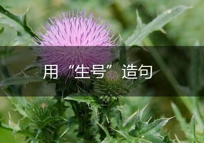 用“生号”造句