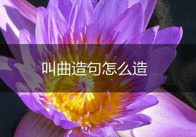 叫曲造句怎么造