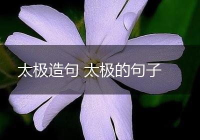 太极造句 太极的句子