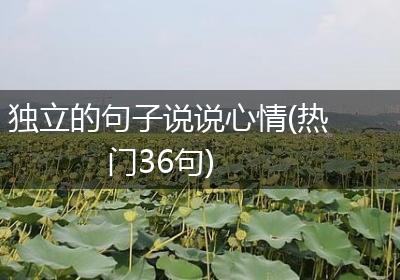 独立的句子说说心情(热门36句)