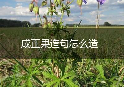 成正果造句怎么造