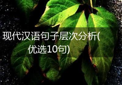 现代汉语句子层次分析(优选10句)