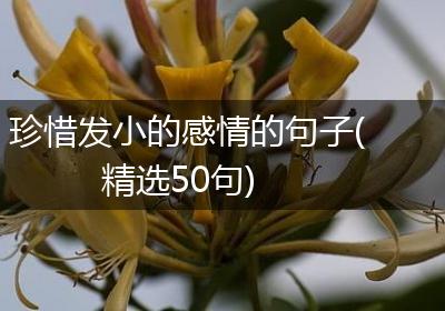 珍惜发小的感情的句子(精选50句)