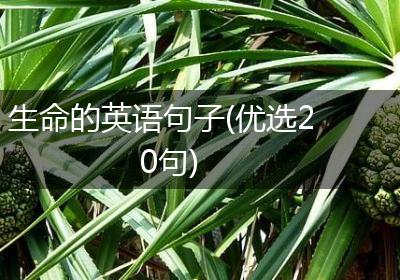 生命的英语句子(优选20句)